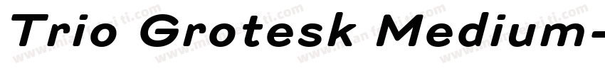 Trio Grotesk Medium字体转换